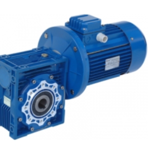NMRV063 Worm Gear Box Reducer with Motor | High Torque AC Geared Motor